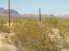 16297 S Johnson Ln photo